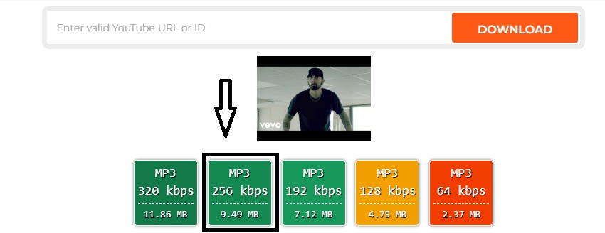 Select the mp3 format