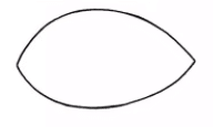 forme ovale