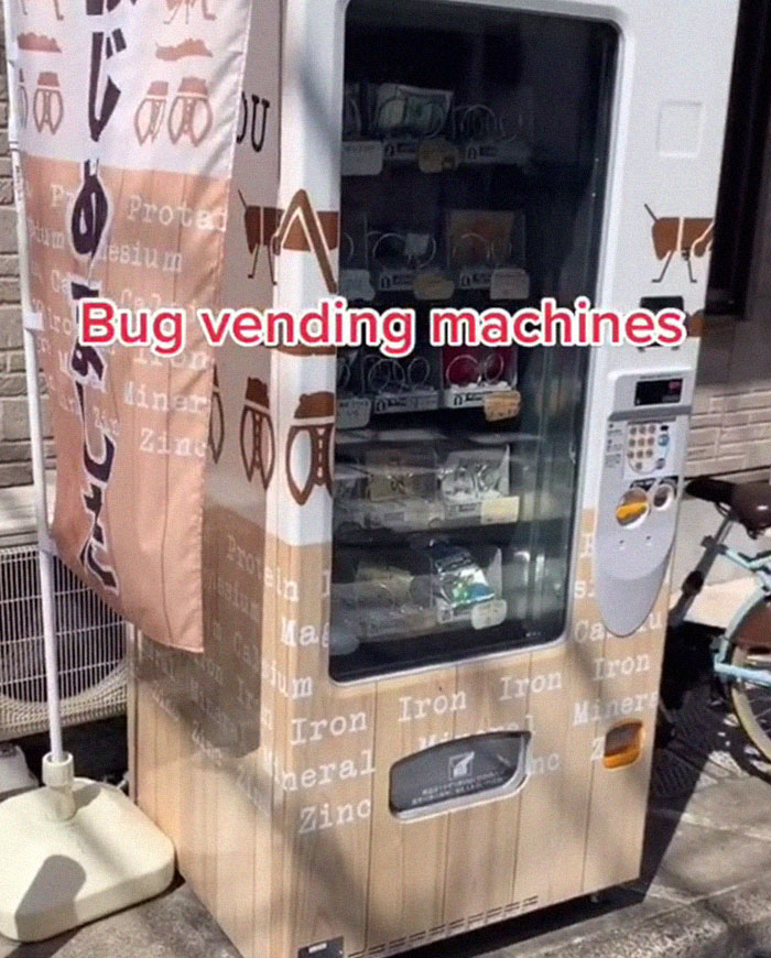 bug vending machines