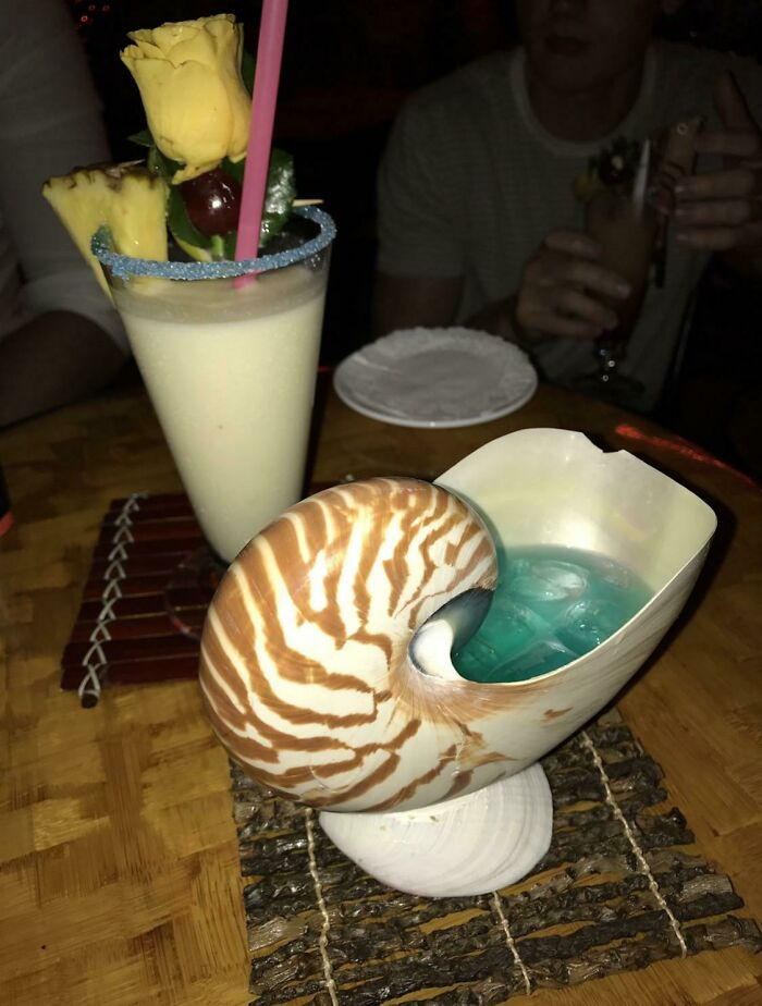 drink in shell