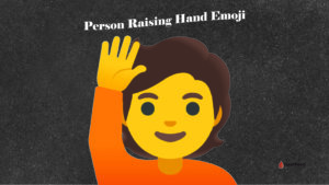 Person Raising Hand Emoji