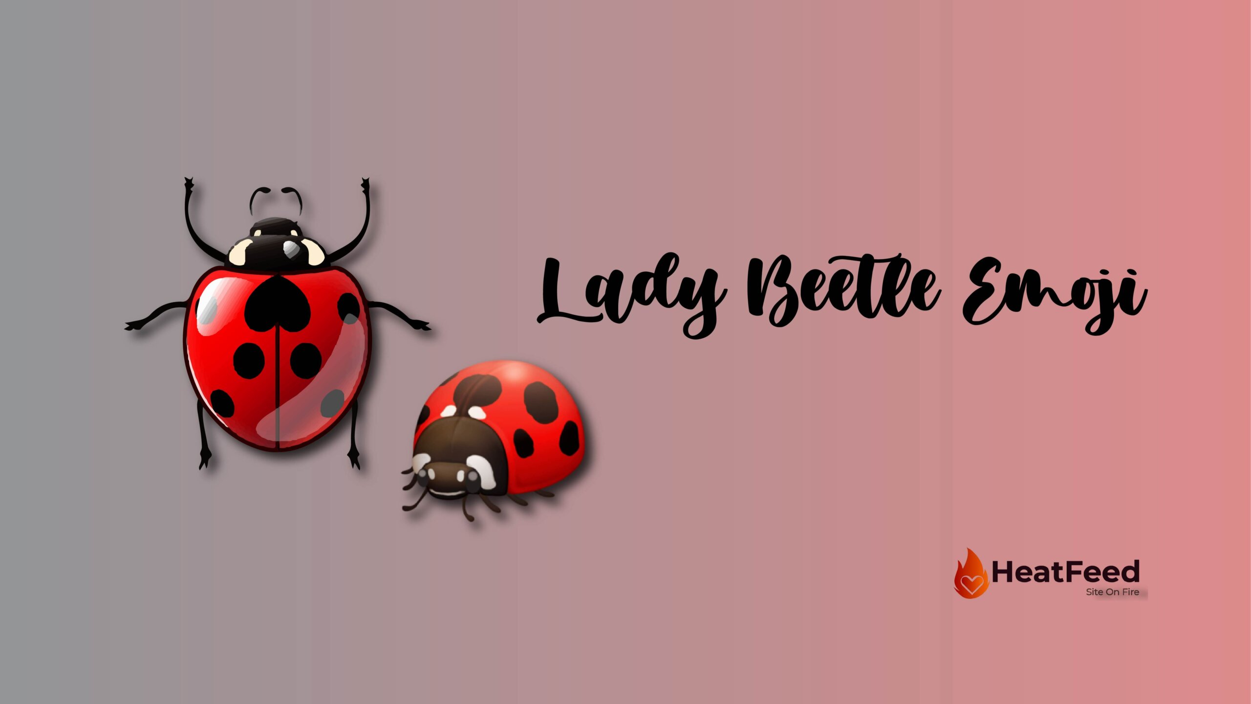 🐞Lady Beetle Emoji -Meaning, Copy, ️ & Paste 📝