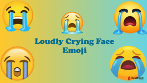 Loudly Crying Face Emoji