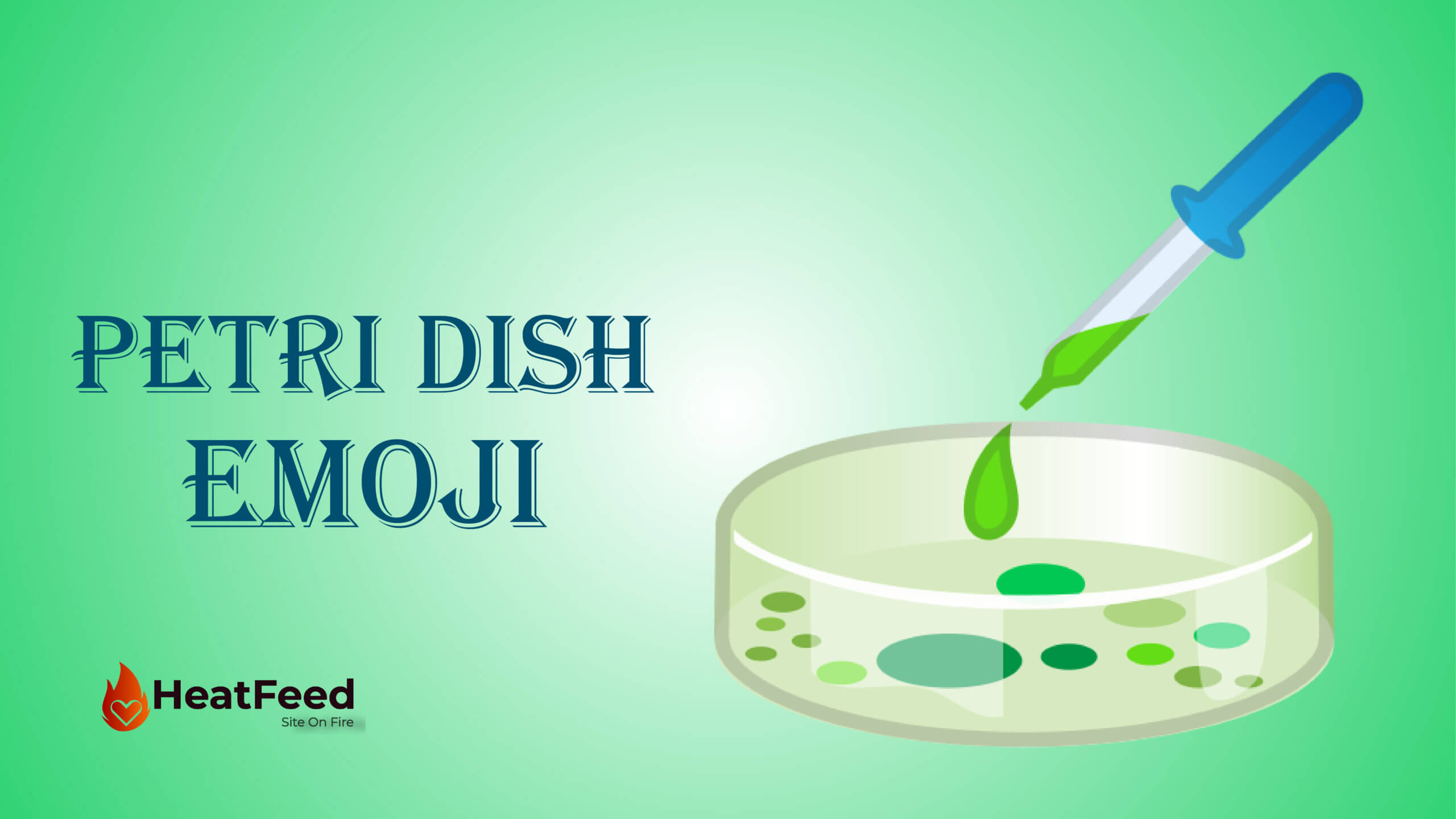 🧫 Petri Dish Emoji Meaning, ️, Copy & Paste 📝