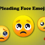 Pleading Face Emoji