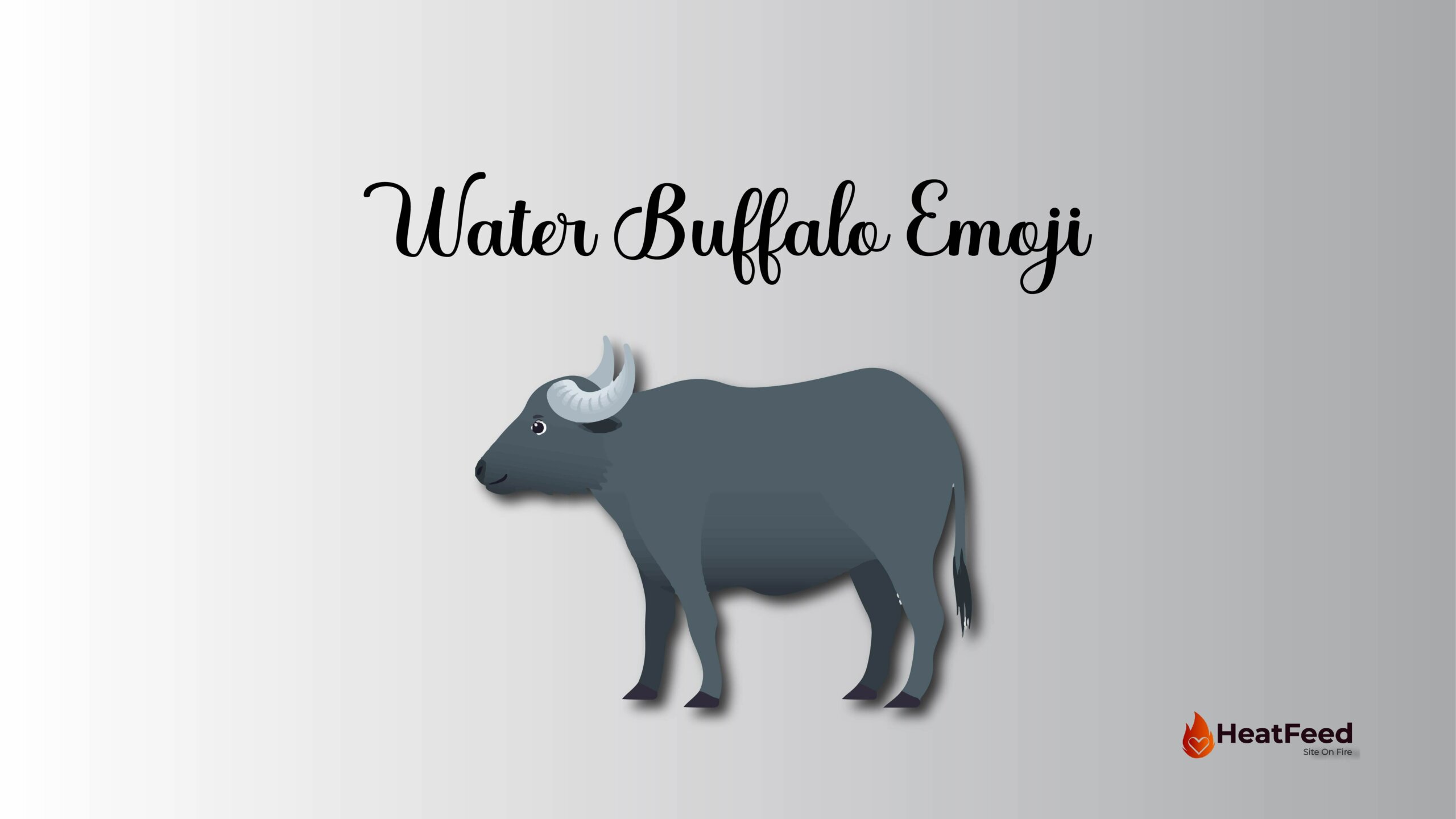 🐃 Water Buffalo EmojiMeaning, Copy, ️ & Paste 📝