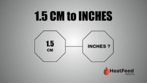 1.5 CM TO INCHES