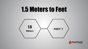 1.5 meters to feet