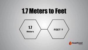 1.7 meters to feet