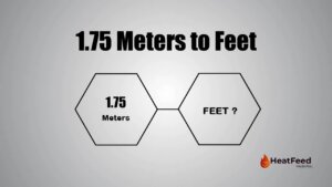 1.75 meters to feet