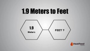 1.9 meters to feet