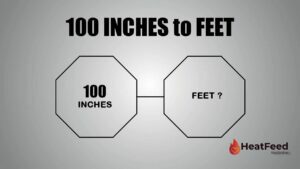 100 INCHES TO FEET