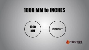 1000 mm to inches    