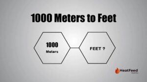 1000 meters to feet