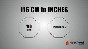 116 CM TO INCHES