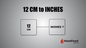 12 CM TO INCHES