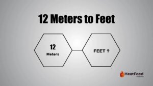 12 meters to feet