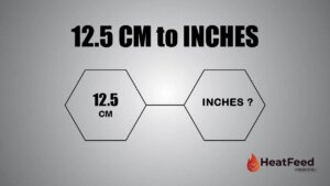 12.5 cm to inches
