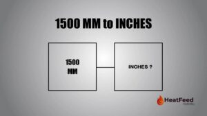 1500 mm to inches