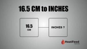 16.5 CM TO INCHES
