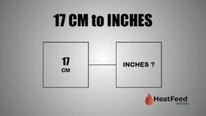 17 cm to inches
