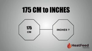 175 CM TO INCHES