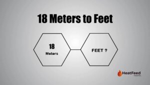 18 meters to feet