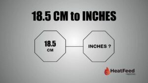18.5 CM TO INCHES