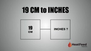 19 cm to inches