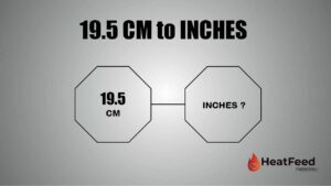 19.5 CM TO INCHES