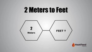2 meters to feet
