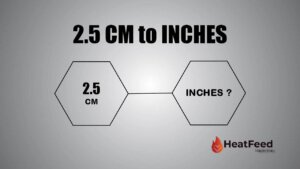 2.5 cm into inches