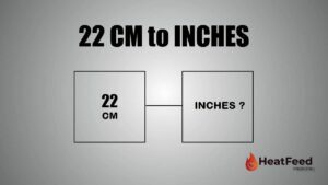 22 cm to inches