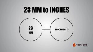 23 mm to inches