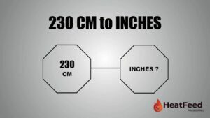 230 CM TO INCHES