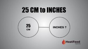25 cm to inches