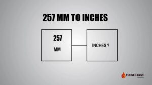 257 mm to inches