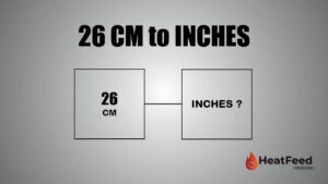 26 cm to inches