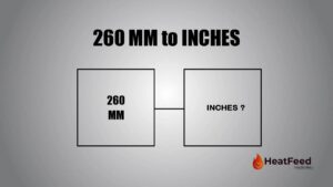 260 mm to inches