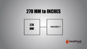 270 mm to inches