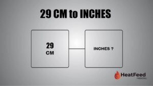 29 CM TO INCHES