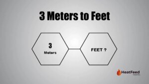 3 meters to feet