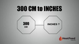 300 CM TO INCHES
