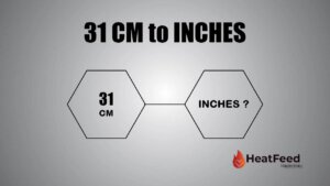 31 cm to inches