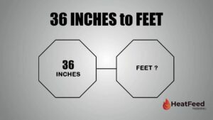 36 INCHES TO FEET