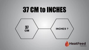 37 cm to inches