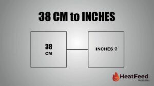 38 cm to inches