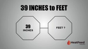39 INCHES TO FEET