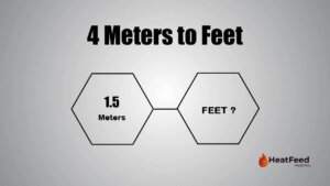 4 meters to feet