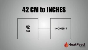 42 cm to inches